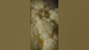 How Many Objects Can You Identify Game 10 #shorts #game #games #food #fun #foodie