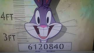 Cute Picture Crossover Wanda Reyes