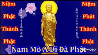 Niệm Phật Hồng Danh-Nam Mô A Di Đà- Nhẹ Nhàng Thanh Tịnh - Tiêu Trừ Nghiệp.