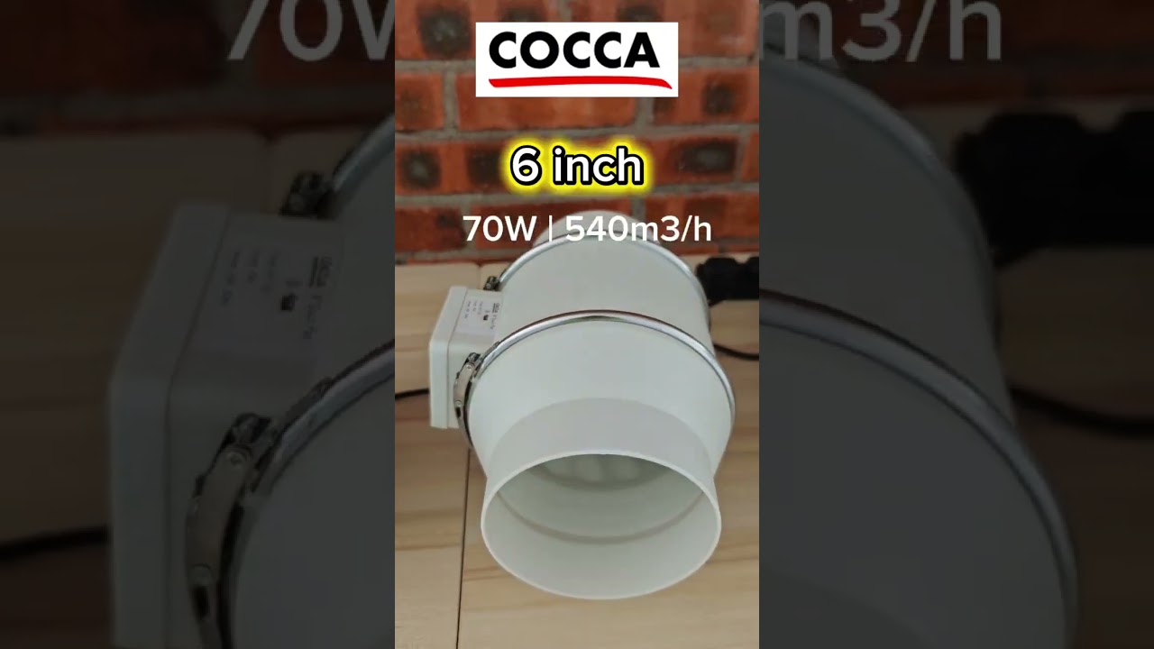 Cocca 4