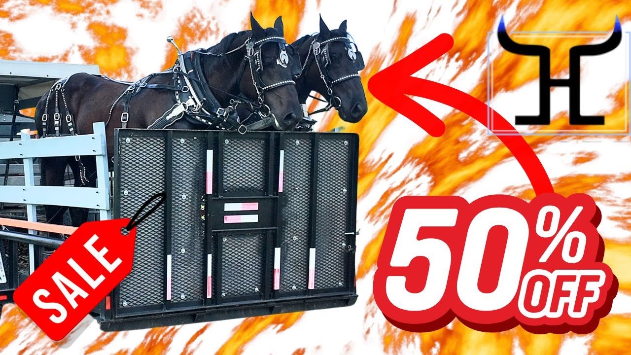 “Do We REALLY Stand Behind Draft Horse & Mule Teams We Sell? | Our Guarantee Is REAL”