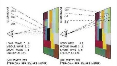 color perception is in the brain