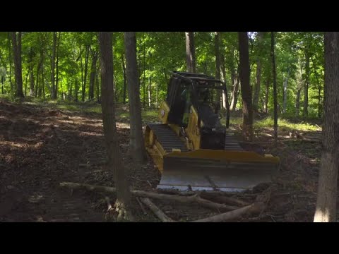 Cat® D4 Forestry Dozer at Work in the Woods