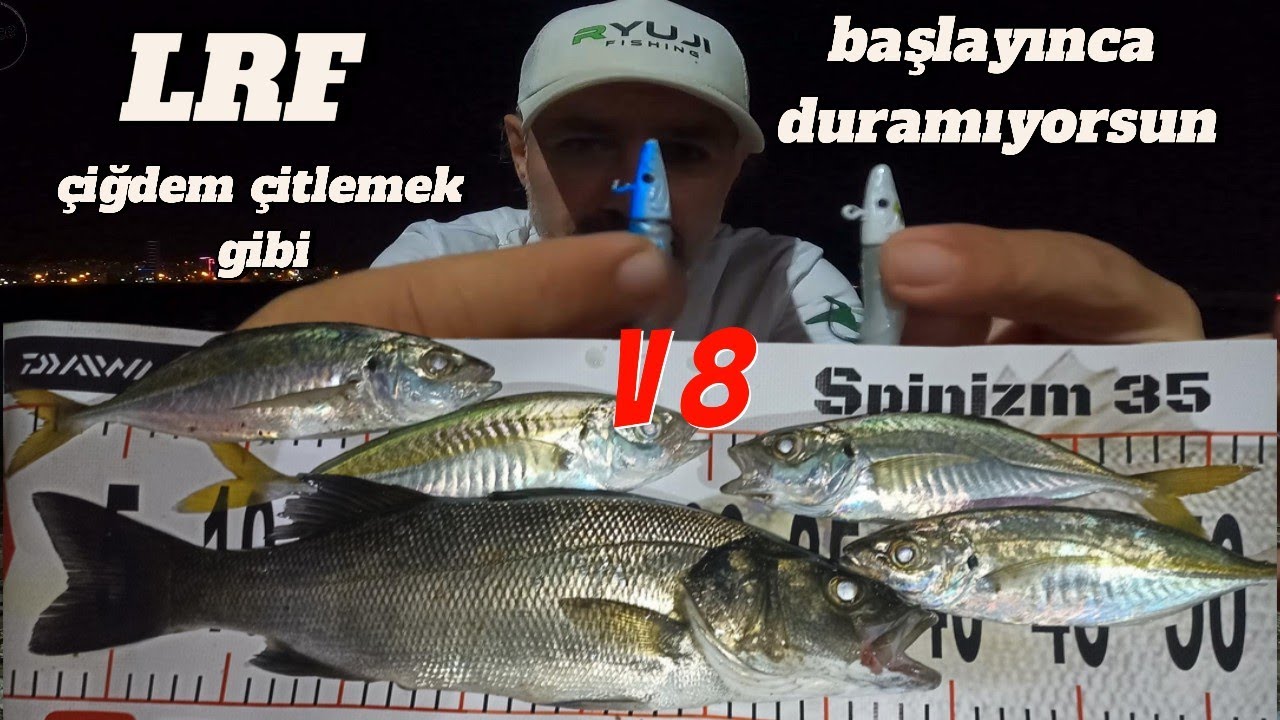 Сибас повсюду, ставрида повсюду / охота на морского окуня в опасных местах с Ryuji V8