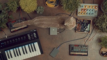 Midihub - Standalone MIDI Processor & Router