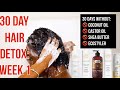 NO OILS, BUTTERS, OR ECOSTYLER!?! | My 30 Day Hair Detox Journey: Week 1 | BEAUTYBYAJ