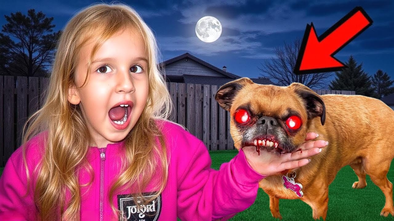 PAS ŠEKI JE UGRIZAO MARIJU