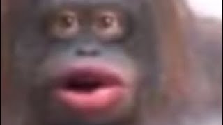 Uh Oh...stinkyminecraft