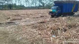 PERJUANGAN SOPIR TRUK DEMI KELUARGA DIRUMAH