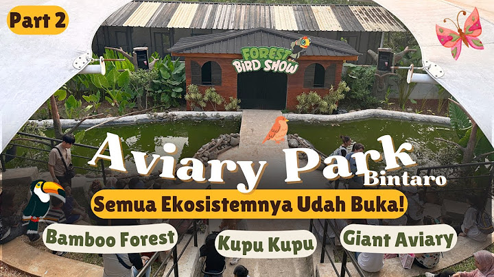 PART 2 - AVIARY PARK Udah Buka Semua Area! Ini nih area baru-nya!