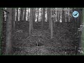 丘の上のアナグマハウスVol.20