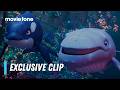 The Last Whale Singer | Exclusive Clip | Reza Memari