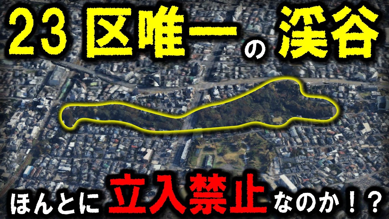 【地形旅】～東京23区唯一の渓谷『等々力渓谷』は今どうなってる？その地形と現状を旅していく。2025年9月氾濫した谷沢川付近～