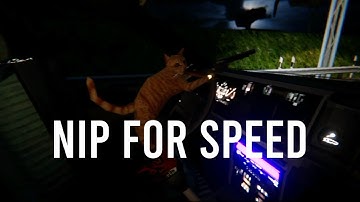 Nip For Speed Point & Click Game
