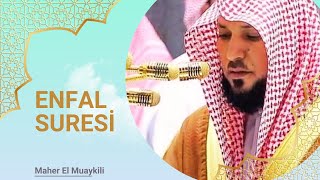 Enfal Suresi / Surah Anfal / سورة الانفال Kabe İmamı Mahir Hoca kuran dinle - Canlı Kabe İzle