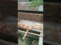 4inc brick wall dewal work| #mistri #construction #house #building #work #hardwork #shorts
