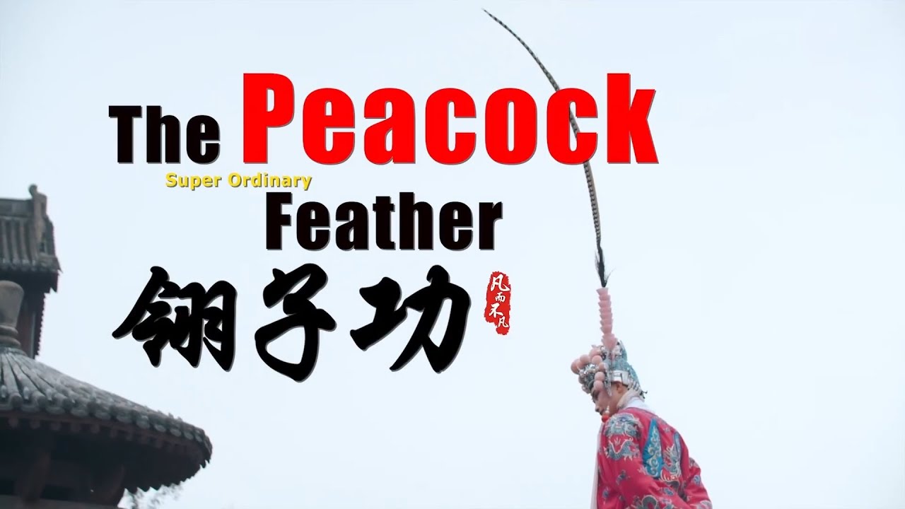 吕布靠两根“翎子”博得貂蝉欢心,双抖翎、八字绕翎是在表达什么情绪?翎子是用什么动物羽毛做的?来自《戏曲绝活》| 中华戏韵 - YouTube