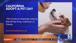 California to celebrate Adopt-a-Pet Day on Saturday