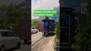 Darjeeling Steam Engine Train Running In Magical Hills Darjeeling 😭🚂🏔️🏔️🇮🇳