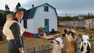Mom of three lives off-grid in the woods of Newfoundland | The Homestead Diaries | Ep. 30