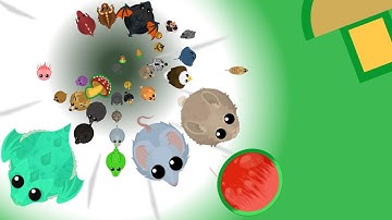 Mohio vs Mopeio - The Switch