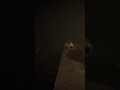 ITS WATCHING ME