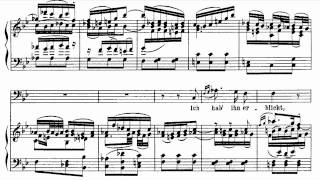 Video thumbnail of "Bach BWV 82-1 Ich habe genug"
