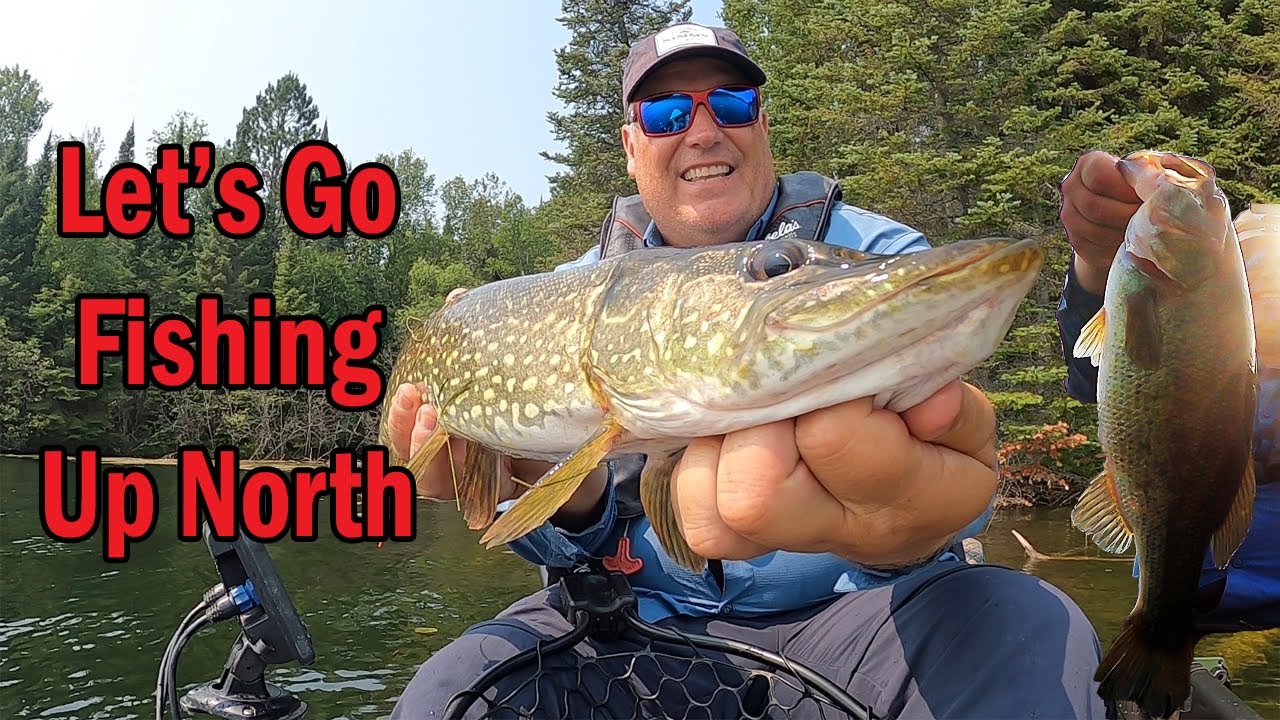 Let's Go Fishing Up North in Minnesota! Bass, Northern Pike and a