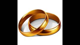 Wedding of Matthew Meddleton & Teresa Cerbone