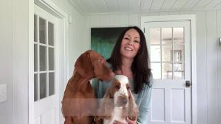 2021 Westminster Kennel Club Judging Panel Announcement Schedule