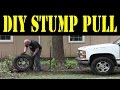 SIMPLE TRICK - stump pulling using a log chain, tire, and a vehicle