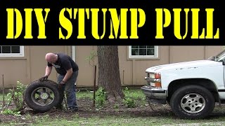 SIMPLE TRICK  stump pulling using a log chain, tire, and a vehicle