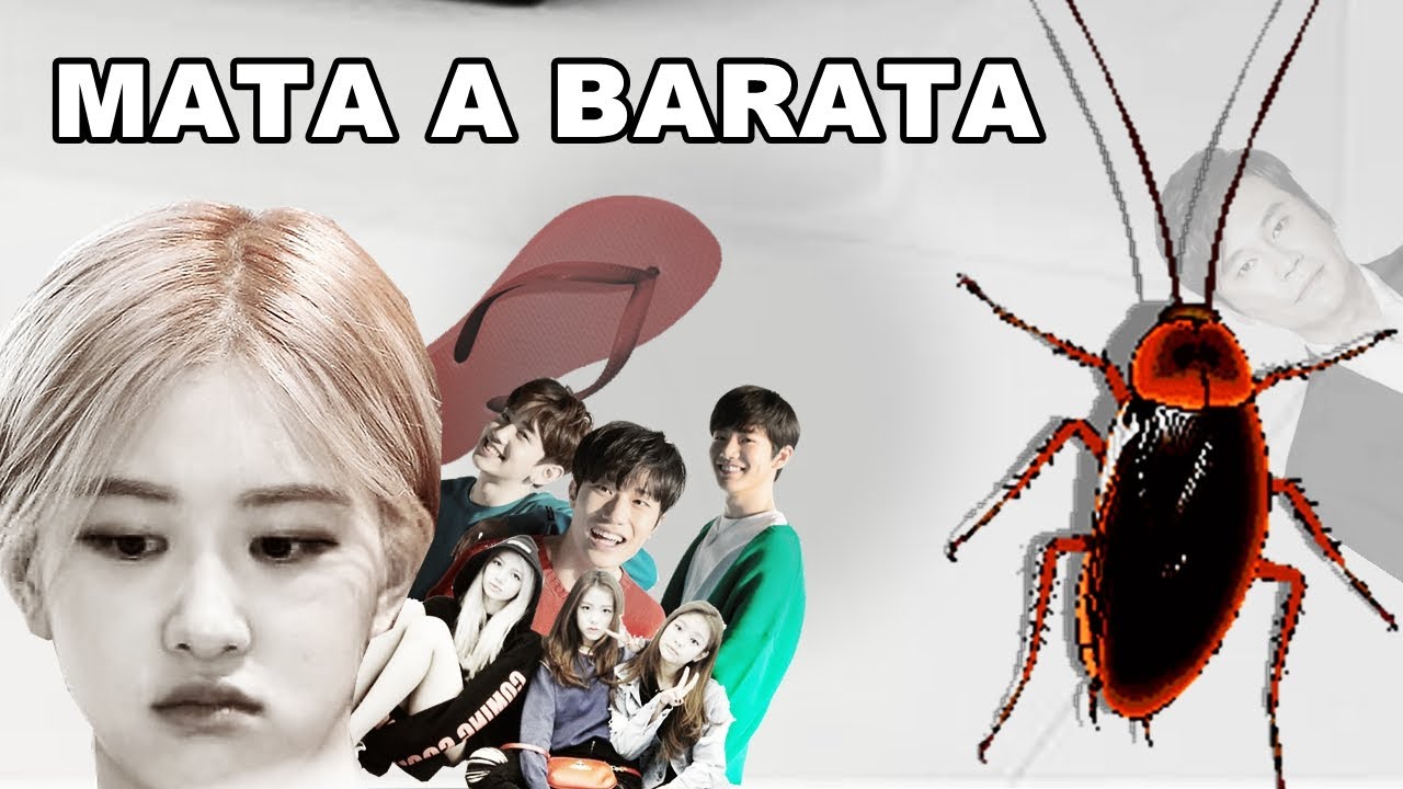 MATA A BARATA