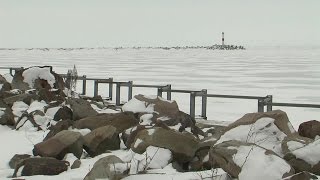 Lake Erie yellow perch shortage may force fish fry venues to use alternative fish