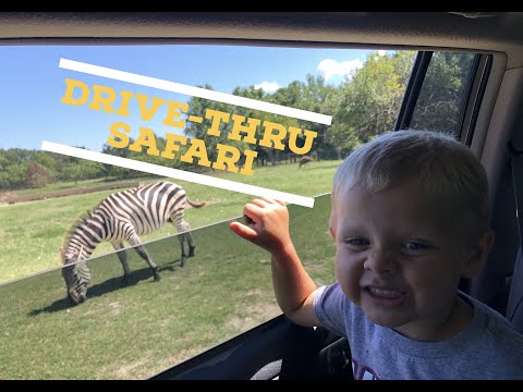 A Visit to the Gentry Arkansas Safari!
