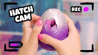 Hatch your perfect Pixie with Crystal Cassie | Hatchimals Hatch Cam