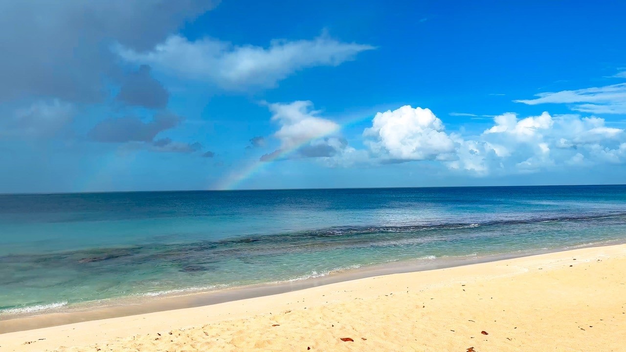 Antigua Port Day: Darkwood Beach to Ffryes Beach