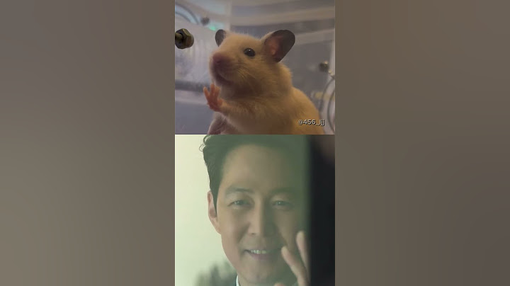 Jaeri The Hamster 🐹