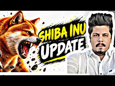 Shiba Inu Update