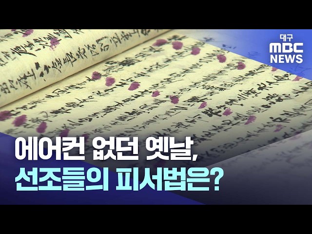 에어컨 없던 옛날, 선조들의 피서법은? | 대구MBC뉴스