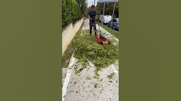 Is this the Greatest Garden Hack of all time? #shorts #satisfying #garden