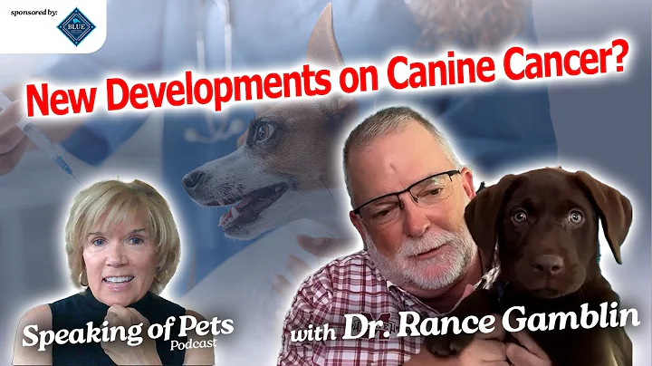 Discussing New Developments on Canine Cancer | SOP ep. 71 - Dr. Rance Gamblin