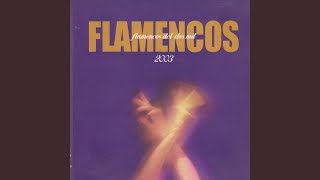 Pajarito - David Tavares