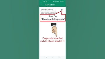 How to Set Fingerprint Lock on WhatsApp on mobile. WhatsApp.