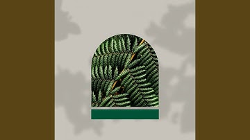 Pulsating Music for Lazy Days