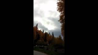 UAF - 2012 - Fall day