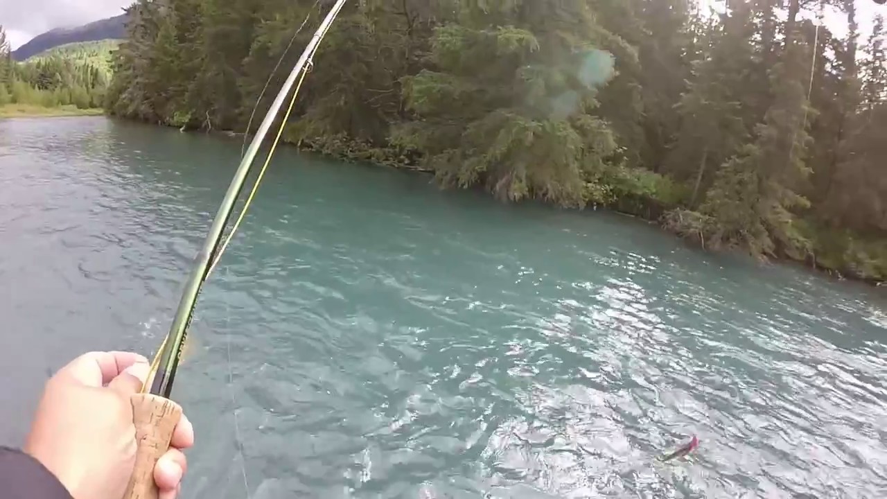 Kenai River Drifting Alaska 