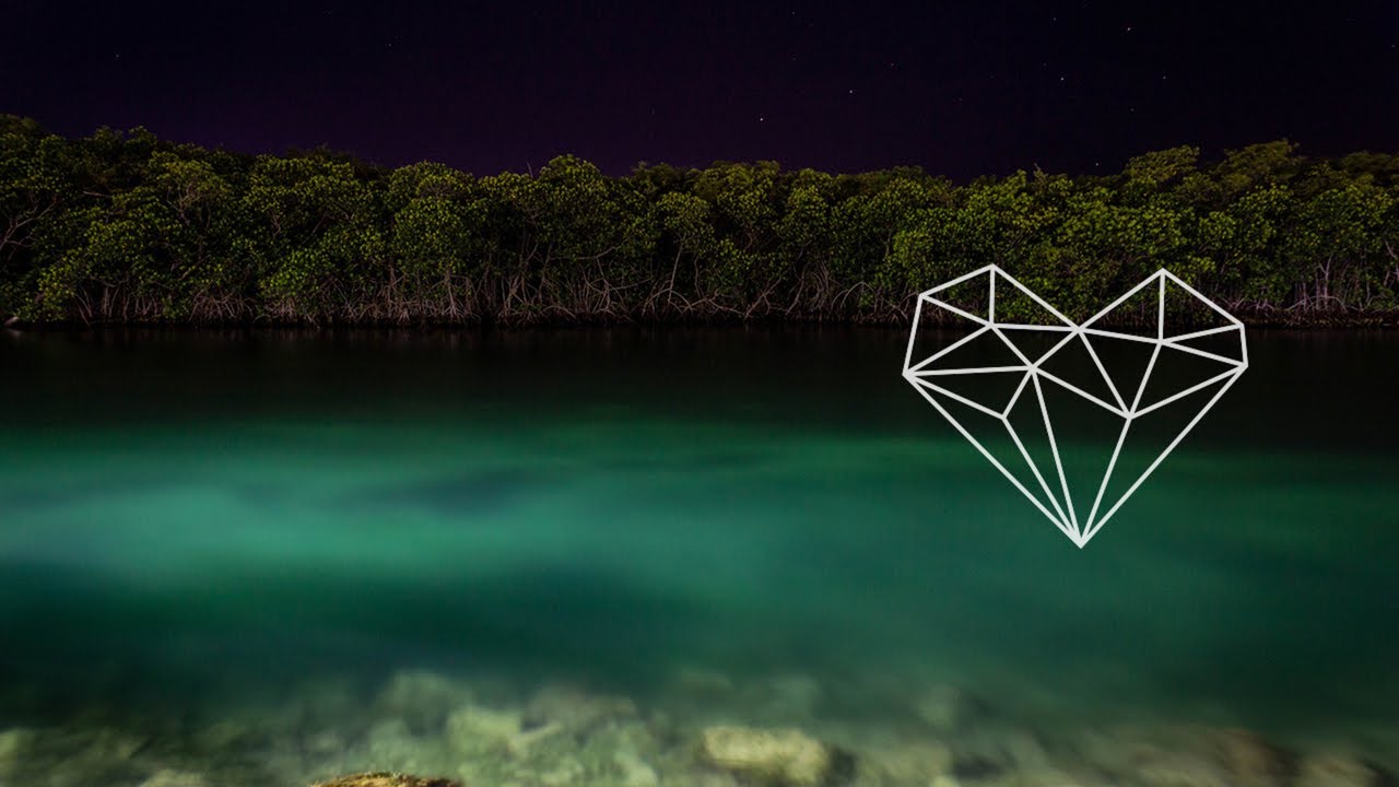 Ella Wild - Vryheid (Original Mix) [Organic House / WAYU Records]