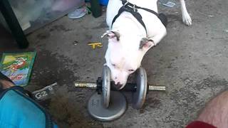 100_0954.AVI