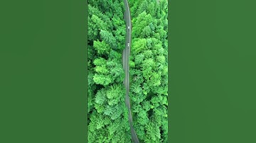 القرآن الكريم الشيخ ماهر المعيقلي #القرآن_الكريم #إطمئن #راحة_نفسية #اكسبلور #quran